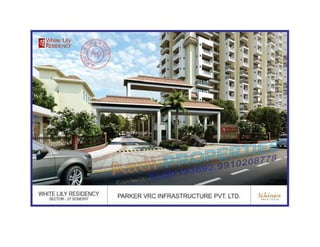 White lily residency sonepat,sector 27 9350193692
