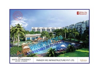 White lily residency sonepat,sector 27 9350193692