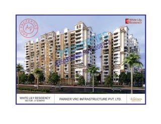 White lily residency sonepat,sector 27 9350193692