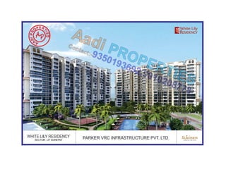 White lily residency sonepat,sector 27 9350193692