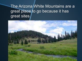 The Arizona White Mountains are a
great place to go because it has
great sites.
 