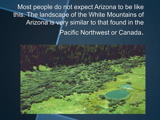 Most people do not expect Arizona to be like
this. The landscape of the White Mountains of
Arizona is very similar to that found in the
Pacific Northwest or Canada.
 