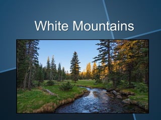 White Mountains
 