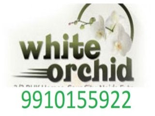 White Orchid Resale - 9910155922 Gaur City Noida Extension Flats