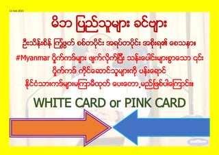 11 Feb 2015
။
#Myanmar ၎
။
WHITE CARD or PINK CARD
 