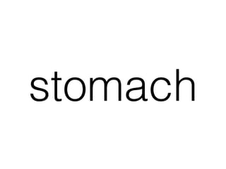 stomach
 