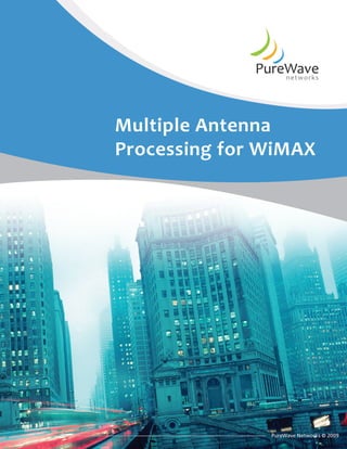 Multiple Antenna
Processing for WiMAX




               PureWave Networks © 2009
 