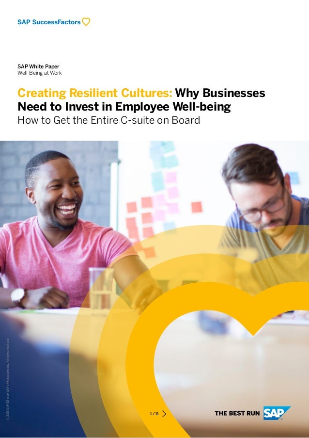 Cultural resilience theory picture