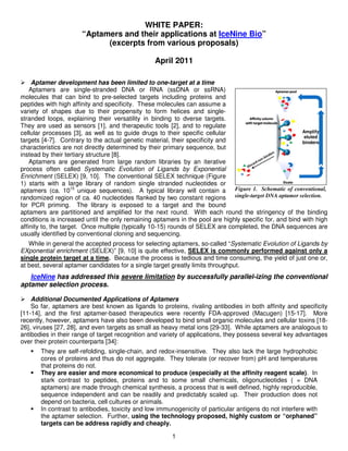 WHITE PAPER:
                      “Aptamers and their applications at IceNine Bio”
                            (excerpts from various proposals)

                                                 April 2011

     Aptamer development has been limited to one-target at a time
    Aptamers are single-stranded DNA or RNA (ssDNA or ssRNA)
molecules that can bind to pre-selected targets including proteins and
peptides with high affinity and specificity. These molecules can assume a
variety of shapes due to their propensity to form helices and single-
stranded loops, explaining their versatility in binding to dverse targets.
They are used as sensors [1], and therapeutic tools [2], and to regulate
cellular processes [3], as well as to guide drugs to their specific cellular                            Amplify
                                                                                                         eluted
targets [4-7]. Contrary to the actual genetic material, their specificity and                           binders
characteristics are not directly determined by their primary sequence, but
instead by their tertiary structure [8].
    Aptamers are generated from large random libraries by an iterative
process often called Systematic Evolution of Ligands by Exponential
Enrichment (SELEX) [9, 10]. The conventional SELEX technique (Figure
1) starts with a large library of random single stranded nucleotides or
aptamers (ca. 1015 unique sequences). A typical library will contain a Figure 1. Schematic of conventional,
randomized region of ca. 40 nucleotides flanked by two constant regions single-target DNA aptamer selection.
for PCR priming. The library is exposed to a target and the bound
aptamers are partitioned and amplified for the next round. With each round the stringency of the binding
conditions is increased until the only remaining aptamers in the pool are highly specific for, and bind with high
affinity to, the target. Once multiple (typically 10-15) rounds of SELEX are completed, the DNA sequences are
usually identified by conventional cloning and sequencing.
   While in general the accepted process for selecting aptamers, so-called “Systematic Evolution of Ligands by
EXponential enrichment (SELEX)” [9, 10] is quite effective, SELEX is commonly performed against only a
single protein target at a time. Because the process is tedious and time consuming, the yield of just one or,
at best, several aptamer candidates for a single target greatly limits throughput.
   IceNine has addressed this severe limitation by successfully parallel-izing the conventional
aptamer selection process.

    Additional Documented Applications of Aptamers
    So far, aptamers are best known as ligands to proteins, rivaling antibodies in both affinity and specificity
[11-14], and the first aptamer-based therapeutics were recently FDA-approved (Macugen) [15-17]. More
recently, however, aptamers have also been developed to bind small organic molecules and cellular toxins [18-
26], viruses [27, 28], and even targets as small as heavy metal ions [29-33]. While aptamers are analogous to
antibodies in their range of target recognition and variety of applications, they possess several key advantages
over their protein counterparts [34]:
       They are self-refolding, single-chain, and redox-insensitive. They also lack the large hydrophobic
       cores of proteins and thus do not aggregate. They tolerate (or recover from) pH and temperatures
       that proteins do not.
       They are easier and more economical to produce (especially at the affinity reagent scale). In
       stark contrast to peptides, proteins and to some small chemicals, oligonucleotides ( = DNA
       aptamers) are made through chemical synthesis, a process that is well defined, highly reproducible,
       sequence independent and can be readily and predictably scaled up. Their production does not
       depend on bacteria, cell cultures or animals.
       In contrast to antibodies, toxicity and low immunogenicity of particular antigens do not interfere with
       the aptamer selection. Further, using the technology proposed, highly custom or “orphaned”
       targets can be address rapidly and cheaply.

                                                       1
 