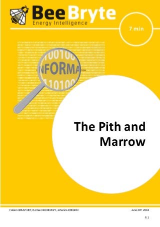 Fabien BRULPORT, Romain BOIDEVEZY, Johanna DREANO June 20th
2018
P.1
The Pith and Marrow
7 min
The Pith and
Marrow
 