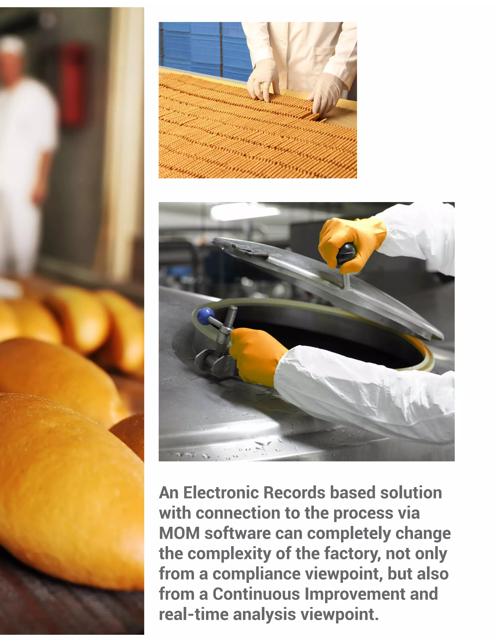 Electronic Batch Records | PDF