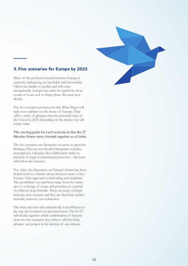 White paper on the future of Europe (CE)