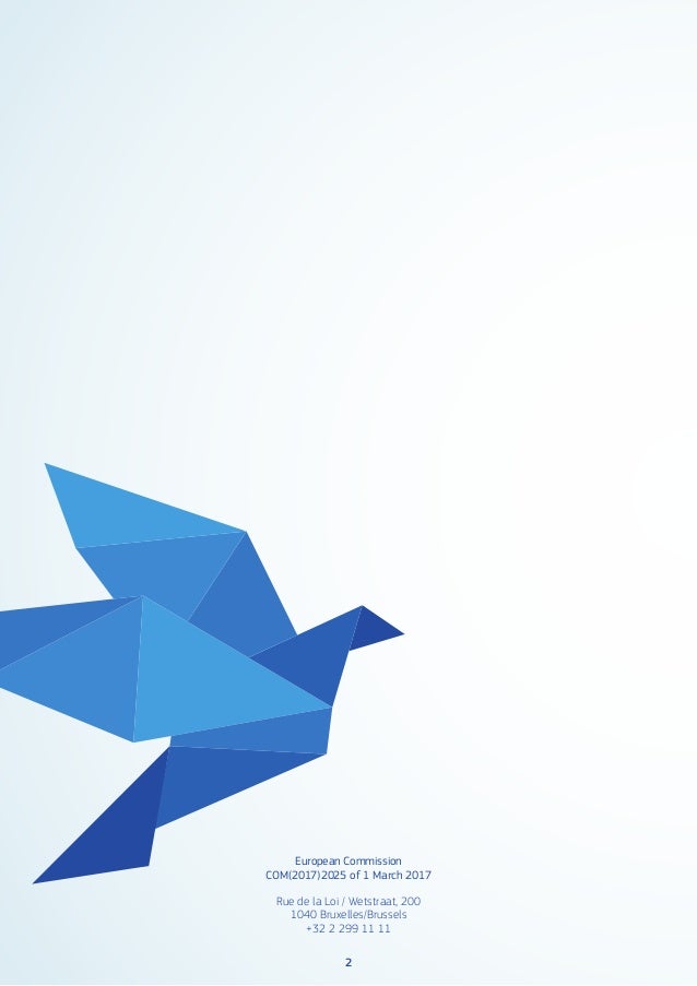 White paper on the future of Europe (CE)