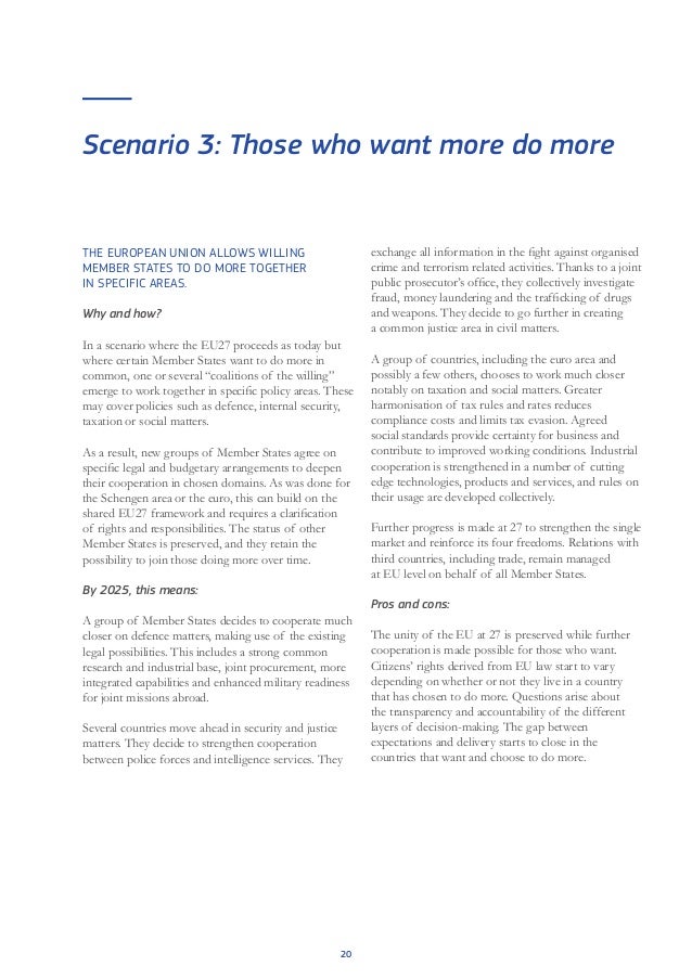White paper on the future of Europe (CE)