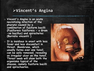 Vincent’s Angina
o Vincent's Angina is an acute
necrotizing infection of the
pharynx caused by a
combination of fusiform bacilli
(Fusiformis fusiformis - a Gram
-ve bacillus) and spirochetes
(Borrelia vincentii )
o It is insidious in onset with less
fever and less discomfort in
throat. Membrane, which
usually forms over one tonsil,
can be asily removed, revealing
an irregular ulcer on the tonsil.
Throat swab will show both the
organisms typical of the
disease, namely fusiform bacilli
and spirochaetes.
 