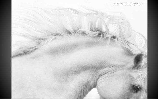 1st Place Winner-Bev Pettit-White Horse
 