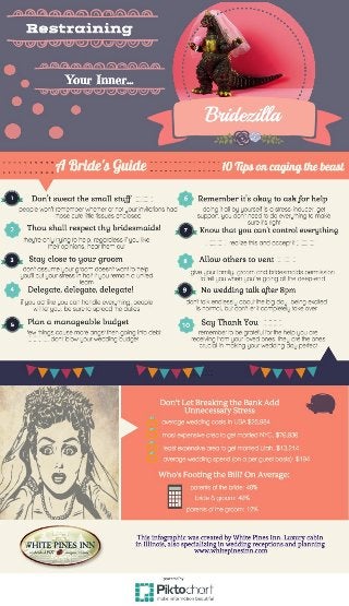 Restraining Bridezila: A Bride's Guide
