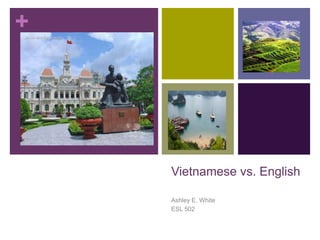 Vietnamese vs. English Ashley E. White ESL 502 