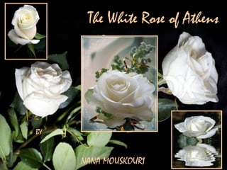 The White Rose of Athens
BY
NANA MOUSKOURI
 