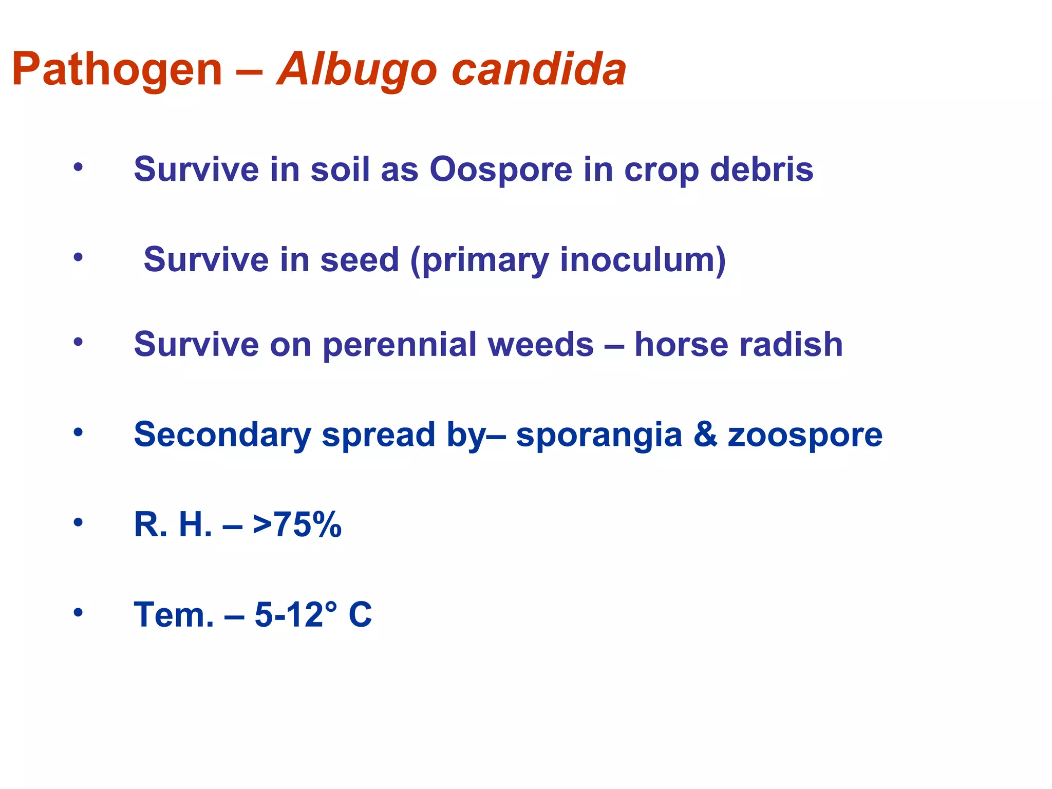 White rust of crucifers | PPT