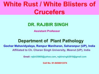 White Rust / White Blisters of
Crucefers
DR. RAJBIR SINGH
Assistant Professor
Department of Plant Pathology
Gochar Mahavidyalaya, Rampur Maniharan, Saharanpur (UP), India
Affiliated to Ch. Charan Singh University, Meerut (UP), India
Email: rajbir25805@yahoo.com, rajbirsingh2810@gmail.com
Cell No. 91-9456613374
 