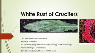 White Rust of Crucifers
Dr. Chinnamani Prasannakumar
Assistant Professor
PG & Research Department of Biotechnology and Microbiology
National College (Autonomous)
Tiruchirappalli, Tamil Nadu- 620001, India
 