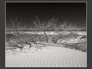 White Sands in Black and White  - Images by Marjorie Kaufman