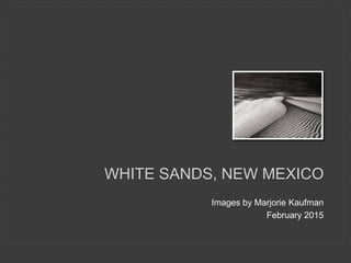 Images from White Sands, New Mexico
by Marjorie Kaufman
February 2015
WHITE SANDS IN COLOR
 