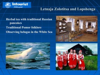 Letnaja Zolotitsa and Lopshenga

Herbal tea with traditional Russian
  pancakes
Traditional Pomor folklore
Observing belugas in the White Sea
 