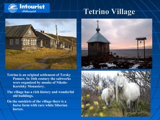 Tetrino Village




Tetrino is an original settlement of Tersky
    Pomors. In 16th century the saltworks
    were organized by monks of Nikolo-
    Korelsky Monastery.
The village has a rich history and wonderful
   old buildings.
On the outskirts of the village there is a
   horse farm with rare white Siberian
   horses.
 
