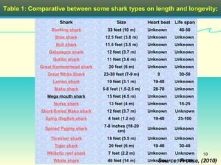 Table 1: Comparative between some shark types on length and longevity:

                    Shark                      Size           Heart beat Life span
                Basking shark             33 feet (10 m)      Unknown      40-50
                  Blue shark             12.5 feet (3.8 m)    Unknown    Unknown
                  Bull shark             11.5 feet (3.5 m)    Unknown    Unknown
               Galapagos shark            12 feet (3.7 m)     Unknown    Unknown
                 Goblin shark             11 feet (3.6 m)     Unknown    Unknown
            Great Hammerhead shark         20 feet (6 m)      Unknown    Unknown
               Great White Shark        23-30 feet (7-9 m)        9        30-50
                 Lemon shark              10 feet (3.1 m)       19-48    Unknown
                  Mako shark           5-8 feet (1.5-2.5 m)     28-78    Unknown
               Mega mouth shark           15 feet (4.5 m)     Unknown    Unknown
                 Nurse shark               13 feet (4 m)      Unknown      15-25
            Short-finned Mako shark       12 feet (3.7 m)     Unknown    Unknown
              Spiny Dogfish shark         4 feet (1.2 m)        19-48     25-100
                                        7-8 inches (18-20
              Spined Pygmy shark                              Unknown    Unknown
                                               cm)
                Thresher shark            18 feet (5.5 m)     Unknown    Unknown
                  Tiger shark              20 feet (6 m)        19-48      30-40
              Whitetip reef shark         7 feet (2.2 m)
                                      White Shark             Unknown    Unknown     10
                 Whale shark              46 feet (14 m)          Source: Froese,
                                                              Unknown   100-150      (2010)
 