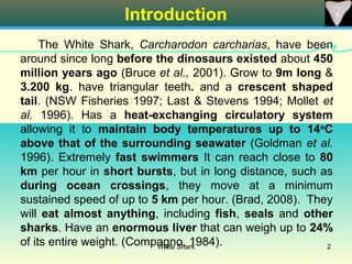 Introduction
     The White Shark, Carcharodon carcharias, have been
around since long before the dinosaurs existed about 450
million years ago (Bruce et al., 2001). Grow to 9m long &
3.200 kg. have triangular teeth. and a crescent shaped
tail. (NSW Fisheries 1997; Last & Stevens 1994; Mollet et
al. 1996). Has a heat-exchanging circulatory system
allowing it to maintain body temperatures up to 14oC
above that of the surrounding seawater (Goldman et al.
1996). Extremely fast swimmers It can reach close to 80
km per hour in short bursts, but in long distance, such as
during ocean crossings, they move at a minimum
sustained speed of up to 5 km per hour. (Brad, 2008). They
will eat almost anything, including fish, seals and other
sharks. Have an enormous liver that can weigh up to 24%
of its entire weight. (Compagno, 1984).
                           White Shark                   2
 