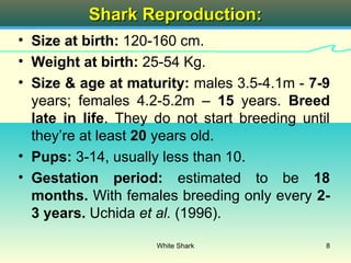 Shark Reproduction:
• Size at birth: 120-160 cm.
• Weight at birth: 25-54 Kg.
• Size & age at maturity: males 3.5-4.1m - 7-9
  years; females 4.2-5.2m – 15 years. Breed
  late in life. They do not start breeding until
  they’re at least 20 years old.
• Pups: 3-14, usually less than 10.
• Gestation period: estimated to be 18
  months. With females breeding only every 2-
  3 years. Uchida et al. (1996).

                     White Shark               8
 