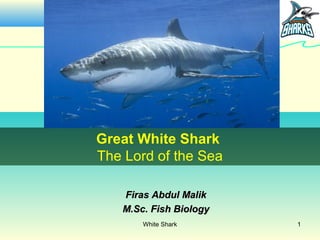 Great White Shark
The Lord of the Sea

   Firas Abdul Malik
   M.Sc. Fish Biology
       White Shark      1
 