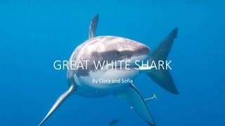 GREAT WHITE SHARK
By Clara and Sofía
 