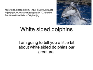 White sided dolphins I am going to tell you a little bit about white sided dolphins our creature. http://2.bp.blogspot.com/_XpA_8S8IHDM/SZzpHqsxgqI/AAAAAAAABQE/6gvjaSn1QJE/s400/Pacific+White+Sided+Dolphin.jpg 