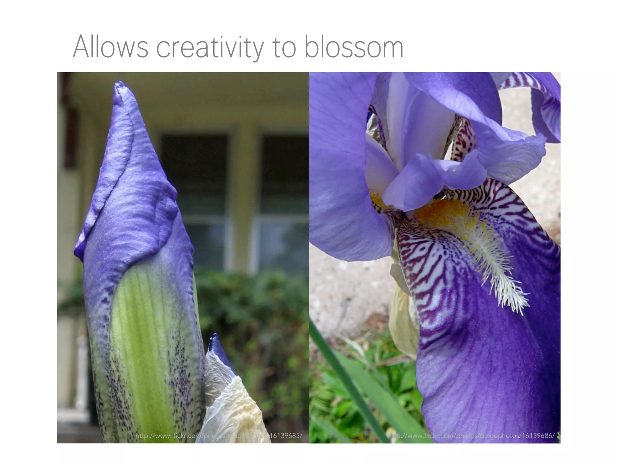 Allows creativity to blossom

http://www.flickr.com/photos/beigephotos/16139685/

http://www.flickr.com/photos/beigephotos/16139686/

 