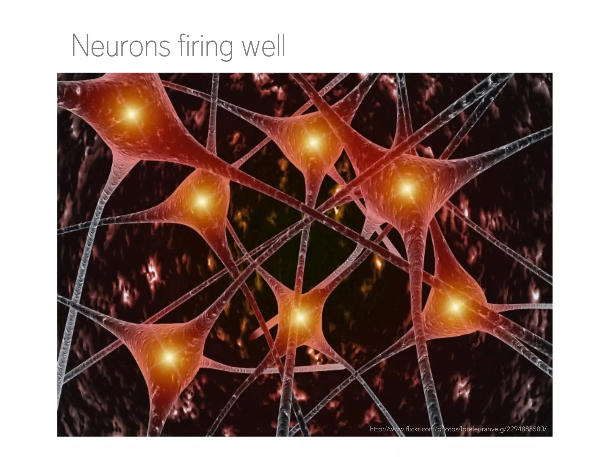 Neurons firing well

http://www.flickr.com/photos/lorelei-ranveig/2294885580/

 