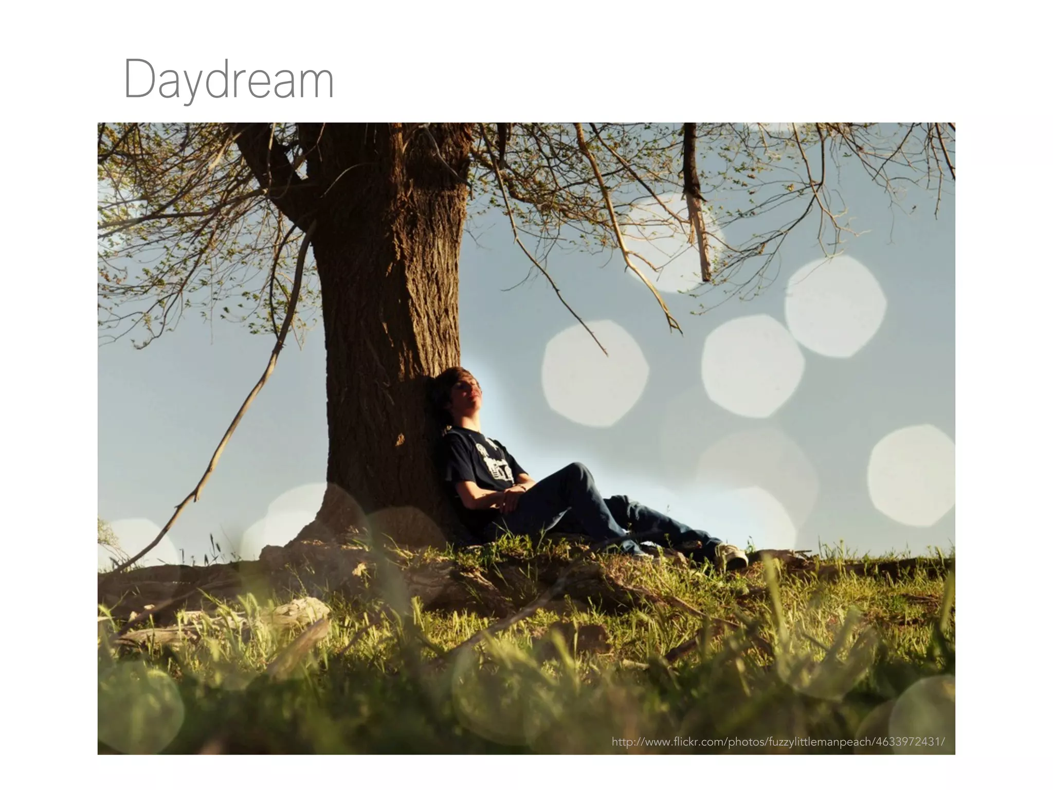 Daydream

http://www.flickr.com/photos/fuzzylittlemanpeach/4633972431/

 