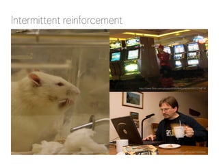 Intermittent reinforcement

http://www.flickr.com/photos/kristoferbjorkman/6910216819/

http://www.flickr.com/photos/jepoirrier/422469526/

http://www.flickr.com/photos/foreignoffice/2671039488/

 