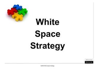White Space Strategy ©2008 White Space Strategy 
