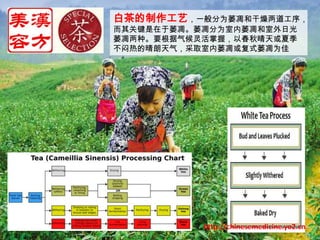 白茶的制作工艺，一般分为萎凋和干燥两道工序，而其关键是在于萎凋。萎凋分为室内萎凋和室外日光萎凋两种。要根据气候灵活掌握，以春秋晴天或夏季不闷热的晴朗天气，采取室内萎凋或复式萎凋为佳http://chinesemedicine.yo2.cn