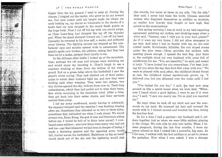 The white tiger netflix wiki picture