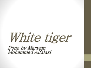 White tiger
Done by Maryam
Mohammed Alfalasi
 