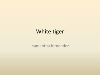 White tiger
samantha fernandez
 