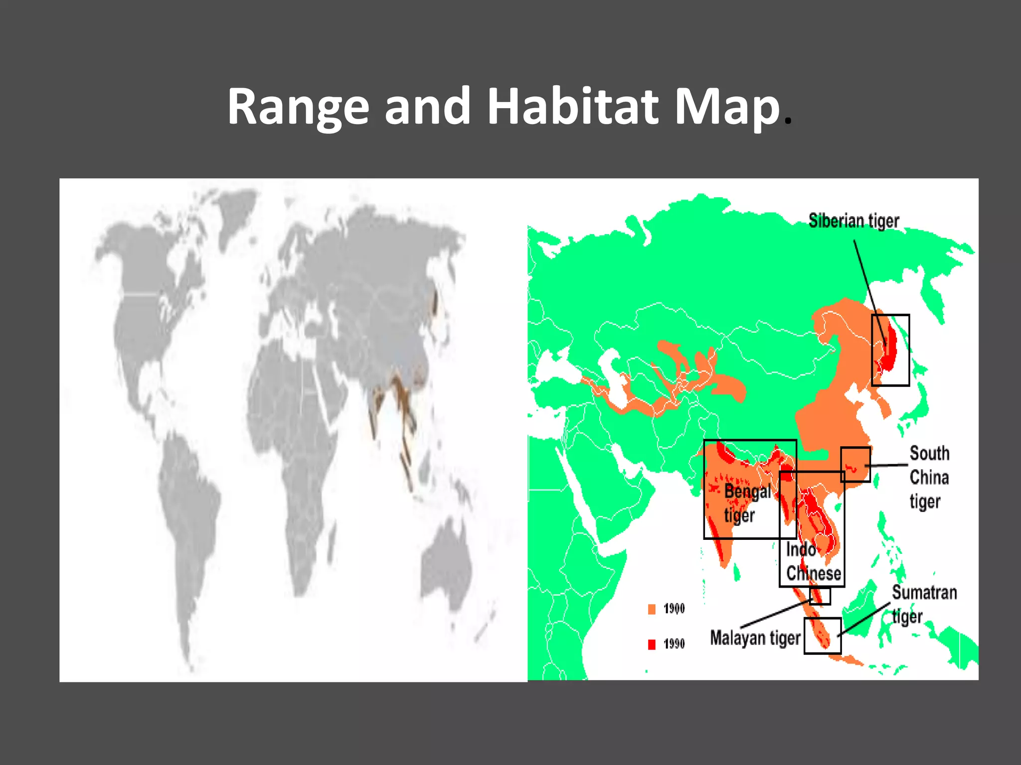 White Tiger Habitat Map