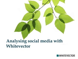 Analysing social media with Whitevector 