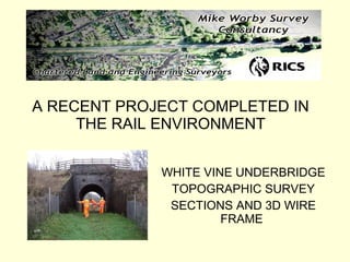 A RECENT PROJECT COMPLETED IN THE RAIL ENVIRONMENT WHITE VINE UNDERBRIDGE TOPOGRAPHIC SURVEY SECTIONS AND 3D WIRE FRAME  