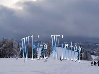 White Winter 
