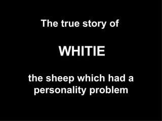   The true story of     the sheep which had a personality problem WHITIE 